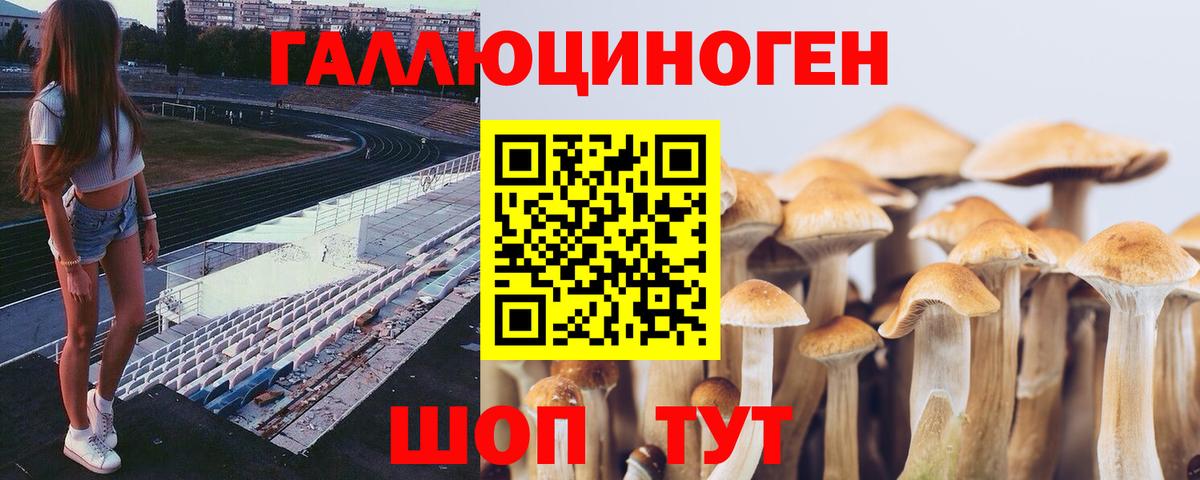 Галлюциногенные грибы мухоморы Кинель