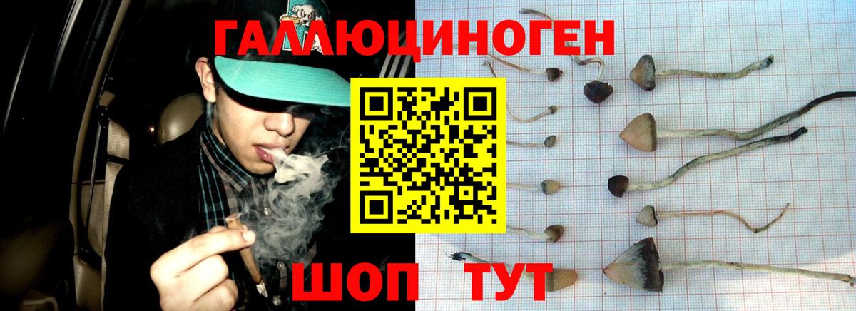 Псилоцибиновые грибы Cubensis  хочу наркоту  Кинель  Вход с VPN 